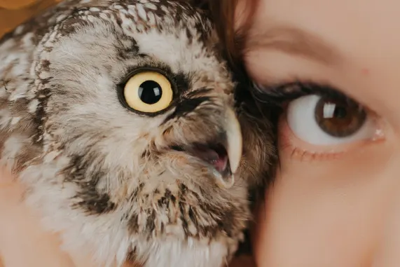 МатчАп Казино Поддръжка